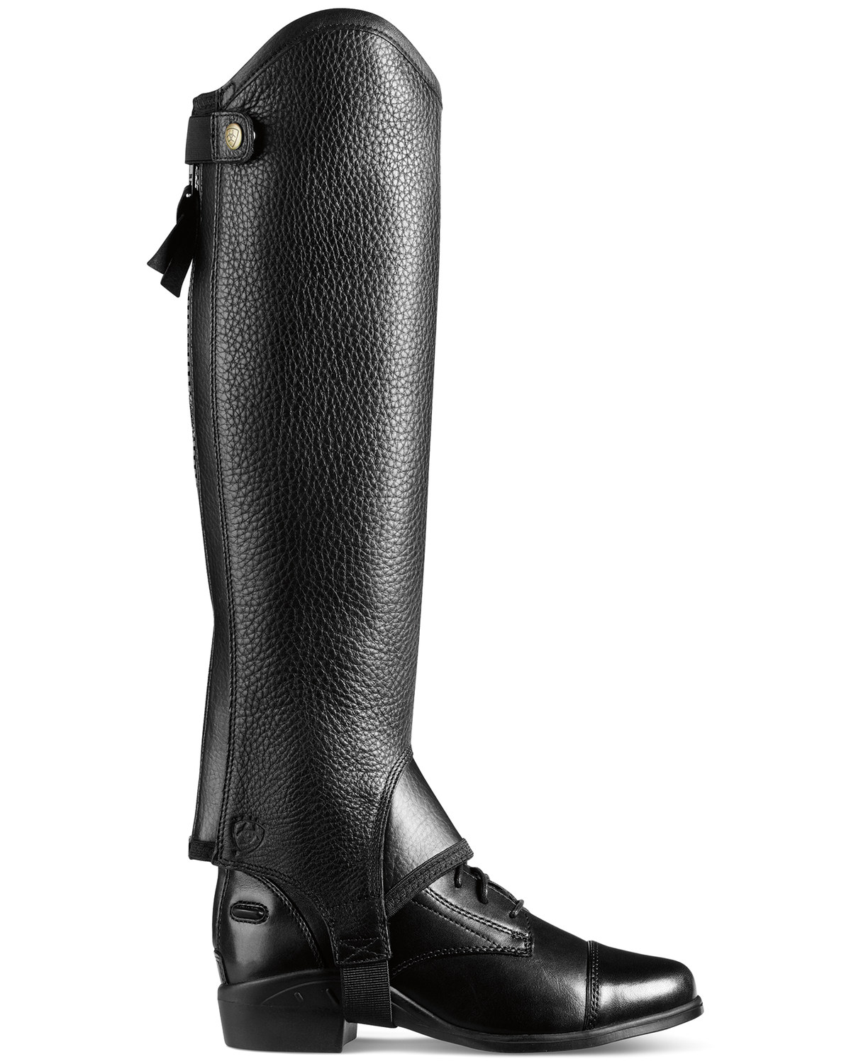 ariat half chaps