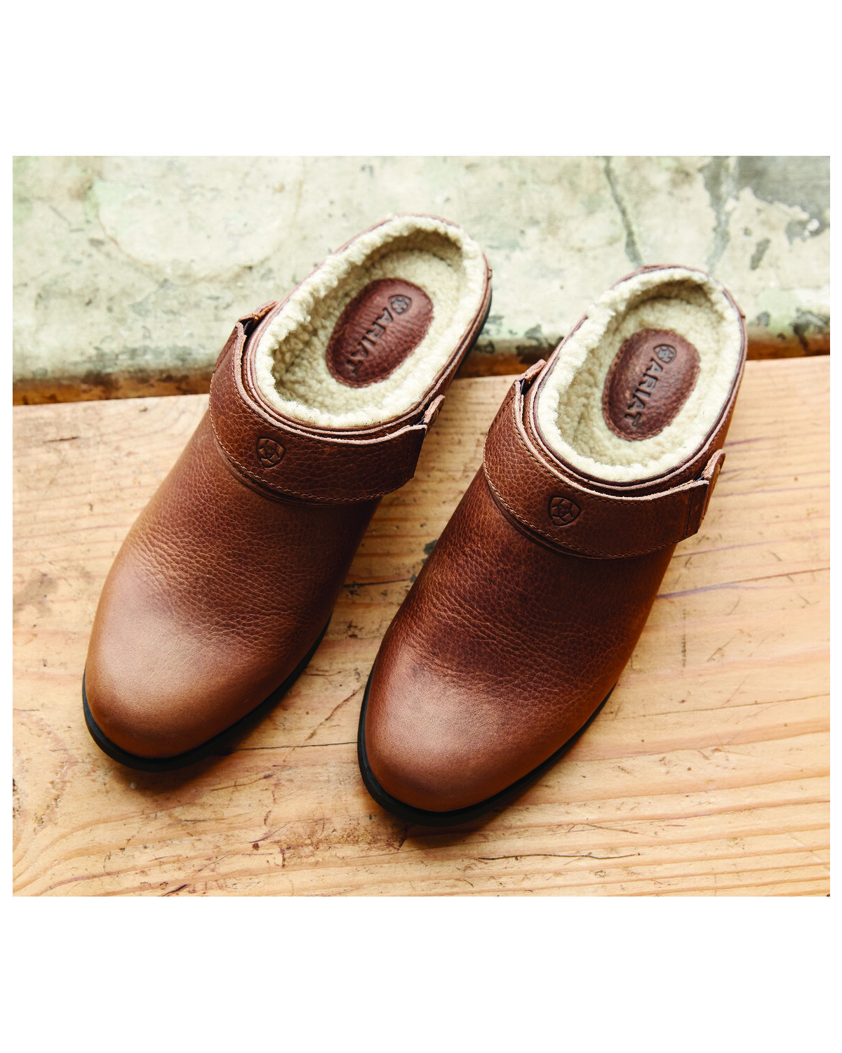 ariat mule shoes