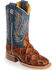 Horse Power Boys' Seas the Day Fish Print Boots - Square Toe , Cognac, hi-res