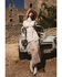 Image #1 - Free People Women's Rock Steady Maxi Shirt Dress, White, hi-res