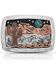 Image #1 - Montana Silversmiths Women's Desert Moon Turquoise Cactus Buckle, Turquoise, hi-res