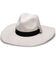 Nikki Beach Women's Astrid Star Crystal Wool Felt Western Hat , , hi-res
