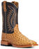 Ariat Men's Gallup Ostrich Western Boots - Broad Square Toe, Cognac, hi-res