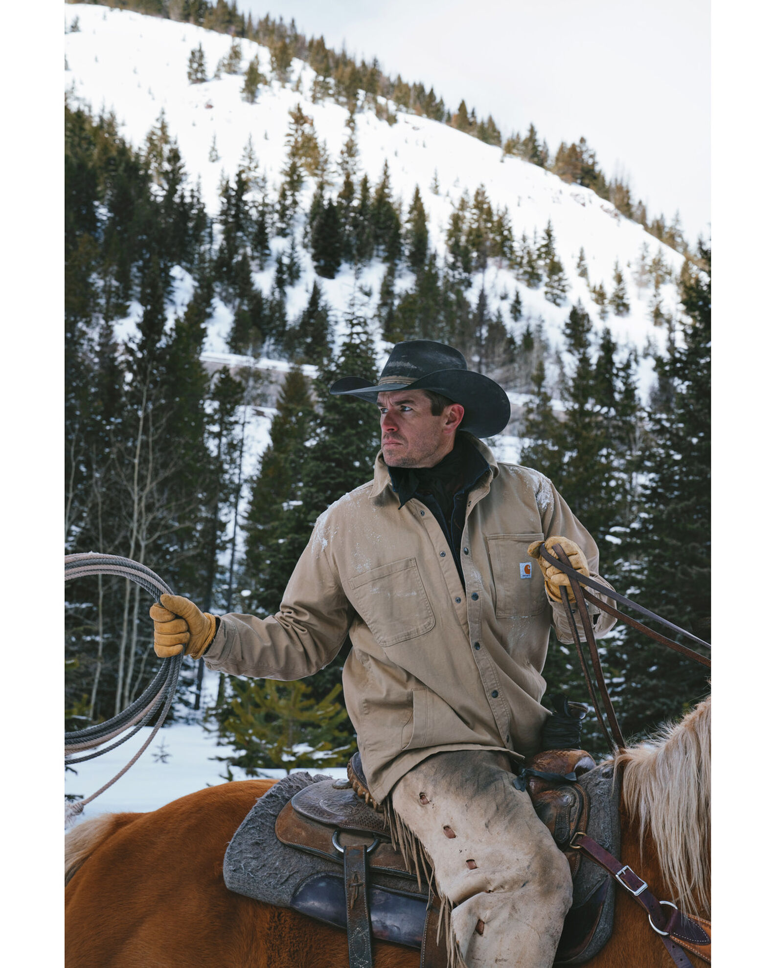 carhartt rigby jacket