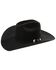 Image #1 - Resistol Hats Men's Black Gold Beaver Fur Felt Hat, , hi-res