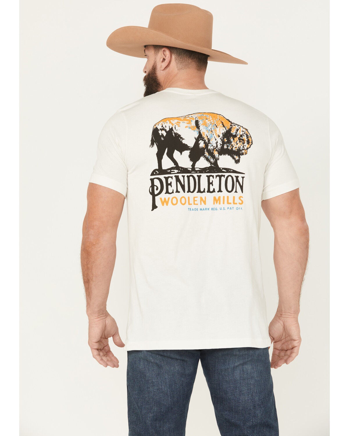 Pendleton Men's Bison Short Sleeve Graphic T-Shirt, Off White, hi-res
