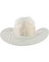 Image #3 - Boot Barn® Hat Protector, No Color, hi-res