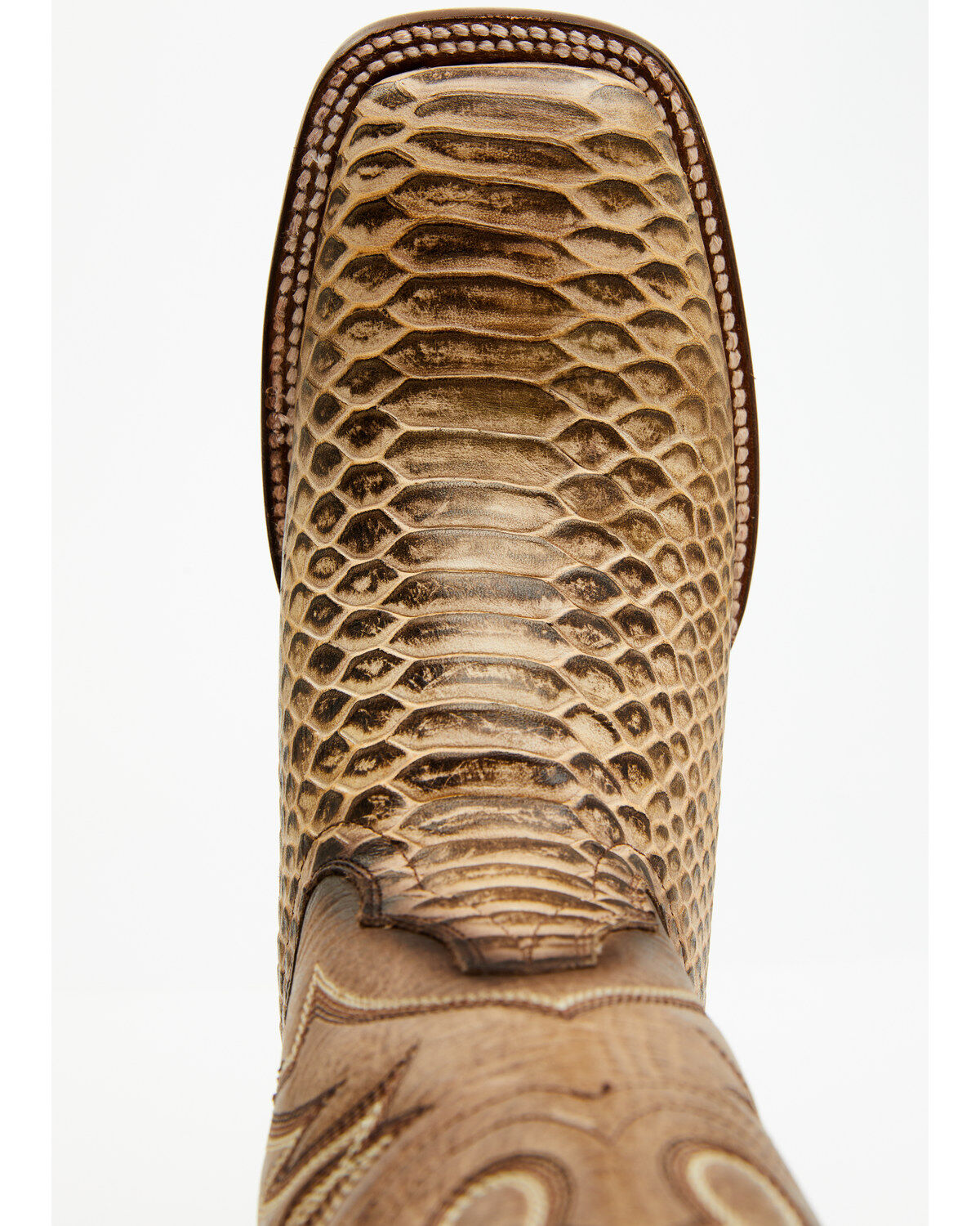 Image #6 - Dan Post Women's 12" Faux Python Western Boots - Broad Square Toe, Honey, hi-res