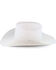 Image #3 - Resistol Men's 20X Tarrant Felt Hat, , hi-res