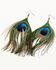 Image #1 - Shyanne Women's Enchanted Forest Peacock Feather Earrings, Pewter, hi-res