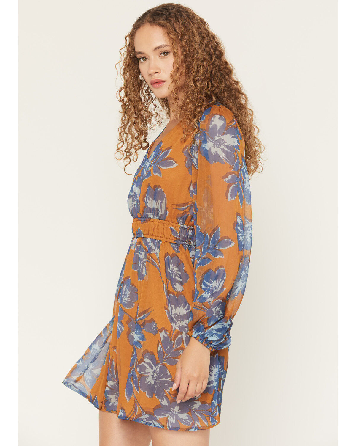 Product Name:  Shyanne Women's Floral Print Long Sleeve Chiffon Mini Dress