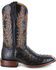 Image #2 - Cody James Men's Full Quill Ostrich Exotic Boots - Wide Square Toe , , hi-res