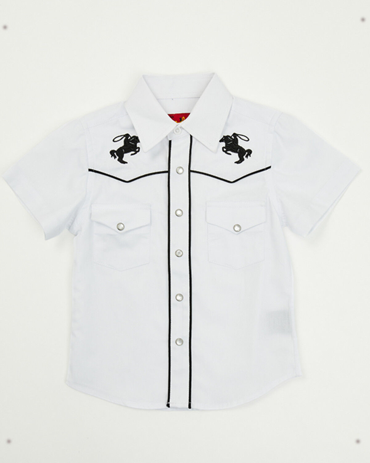 Boys' Rodeo Clothing Roping Horse Embroidered Short Sleeve Snap Wester