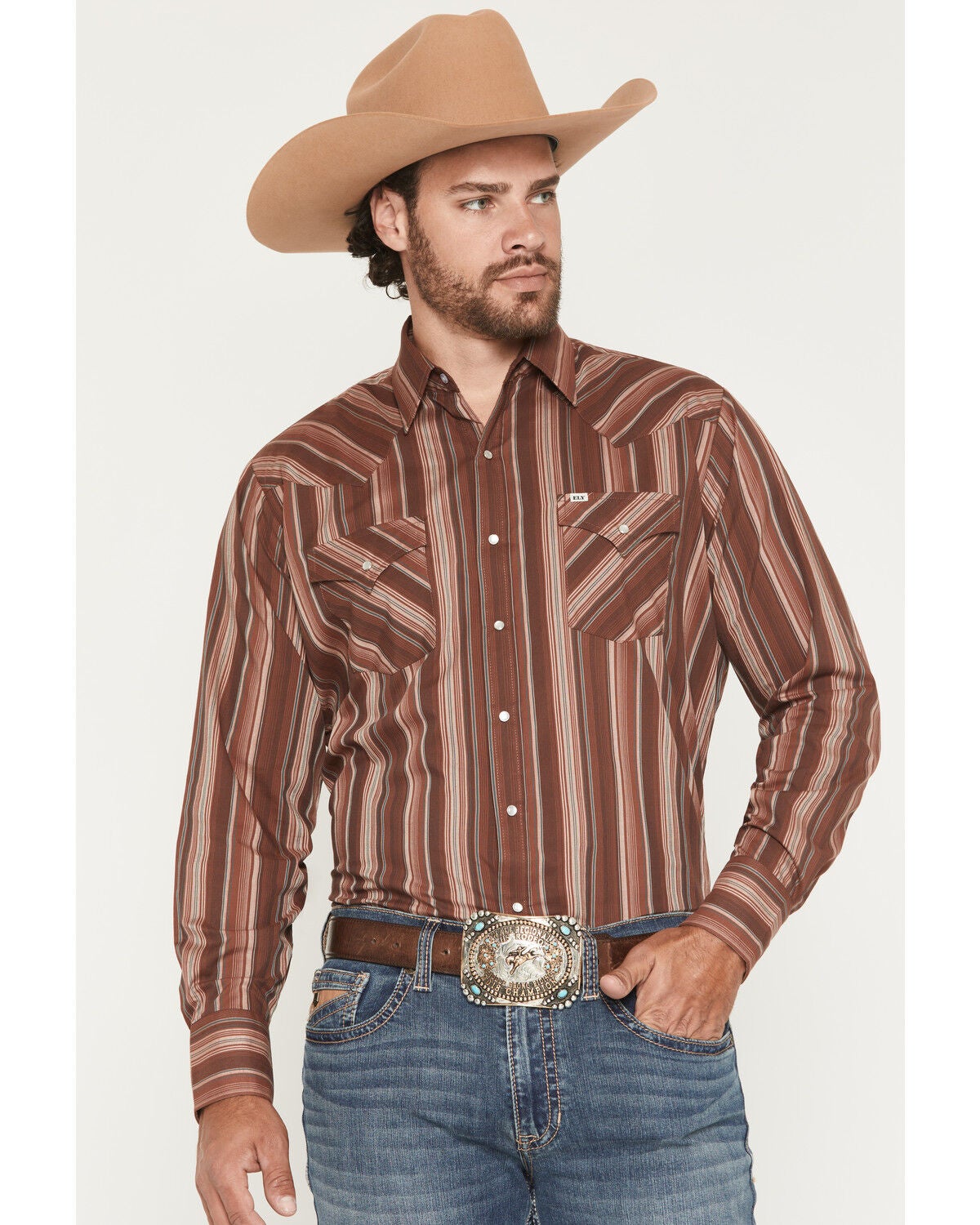 Men's Ely Walker Stripe Print Long Sleeve Snap Western Shirt