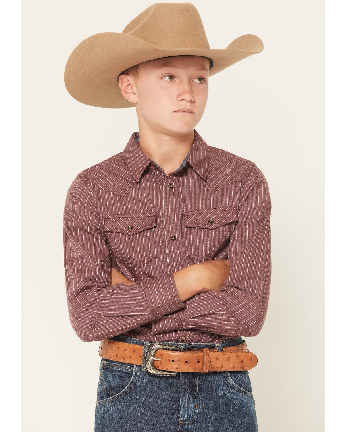 Boys' Cody James Everest Peak Striped Print Long Sleeve Snap Western S