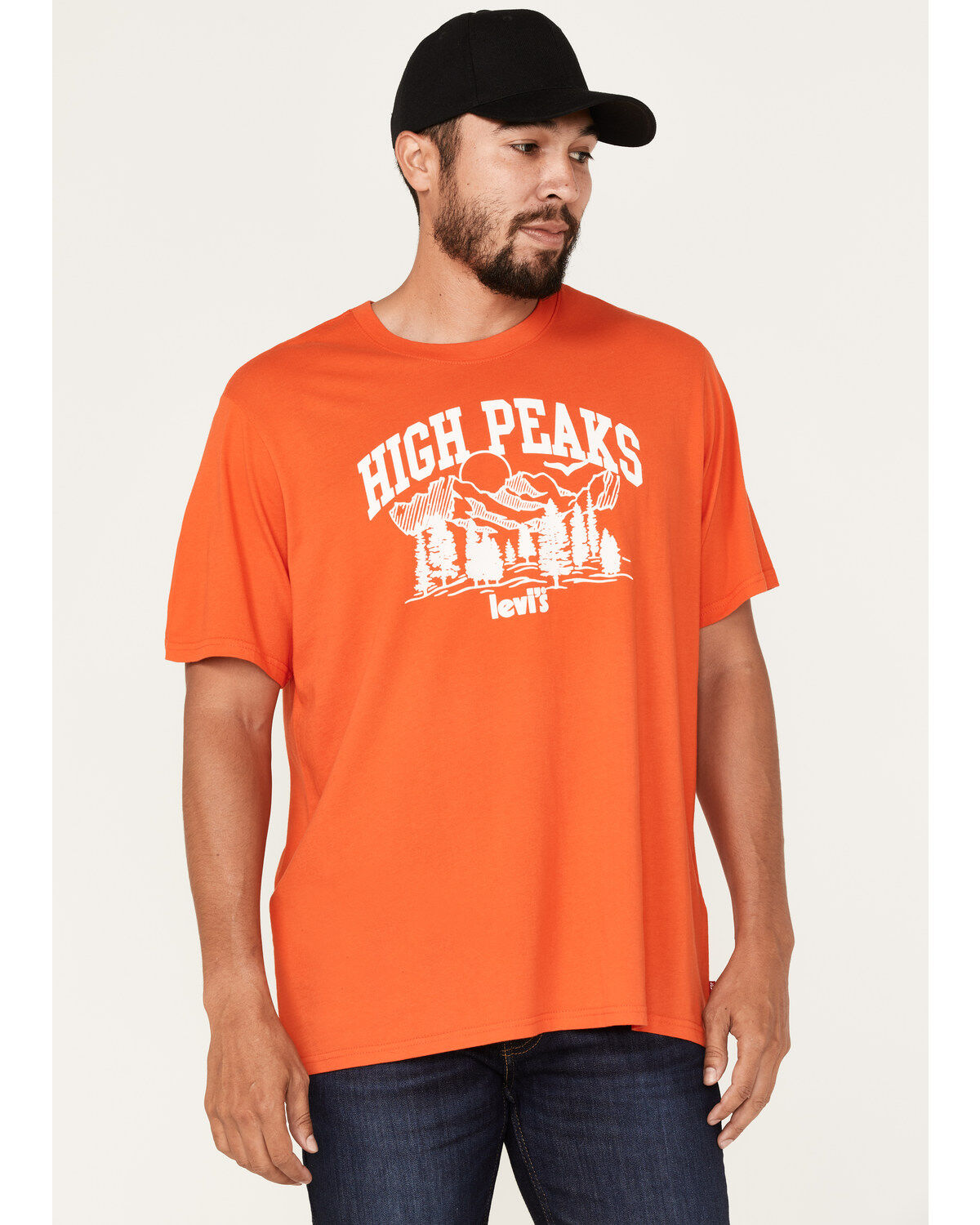 Men's Levi's High Peaks Logo Graphic T-Shirt