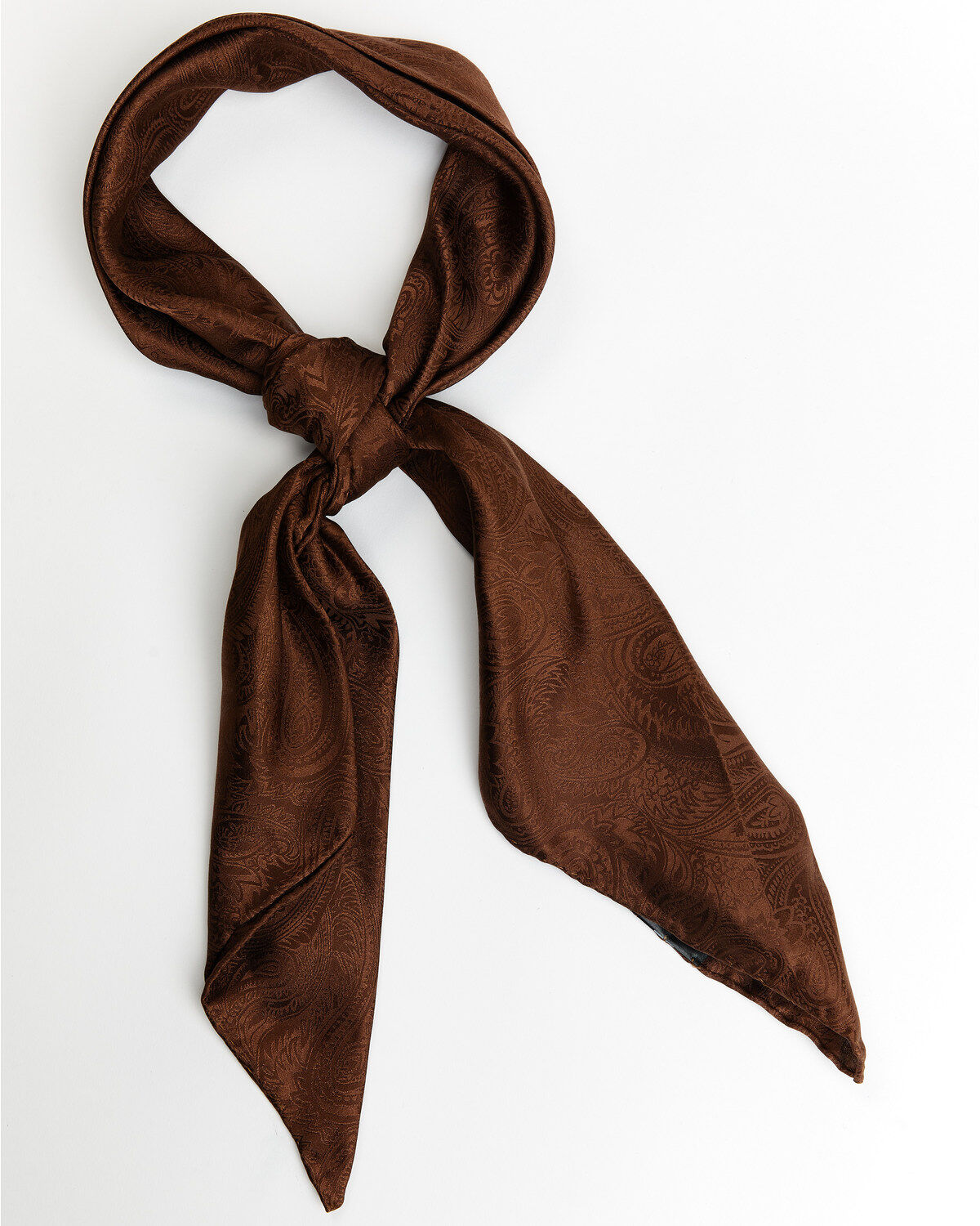 Men's Cody James Silk Wild Rag Scarf