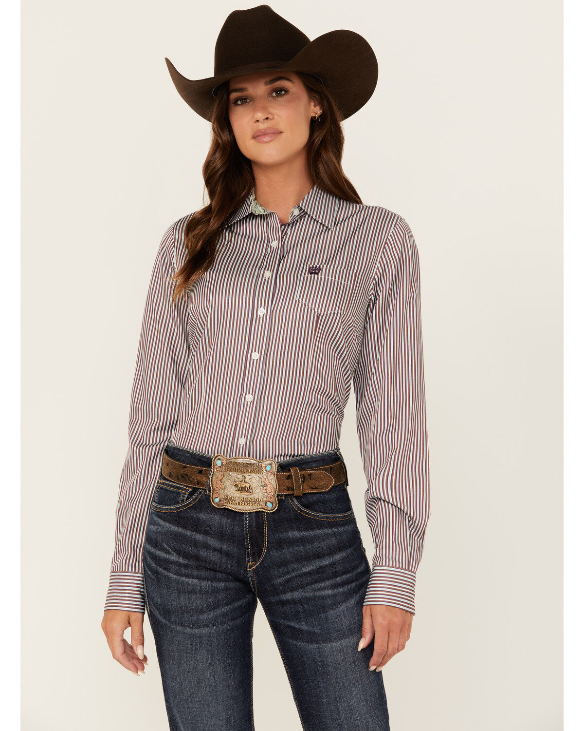 Women's Cinch Striped Long Sleeve Button Down Western Shirt