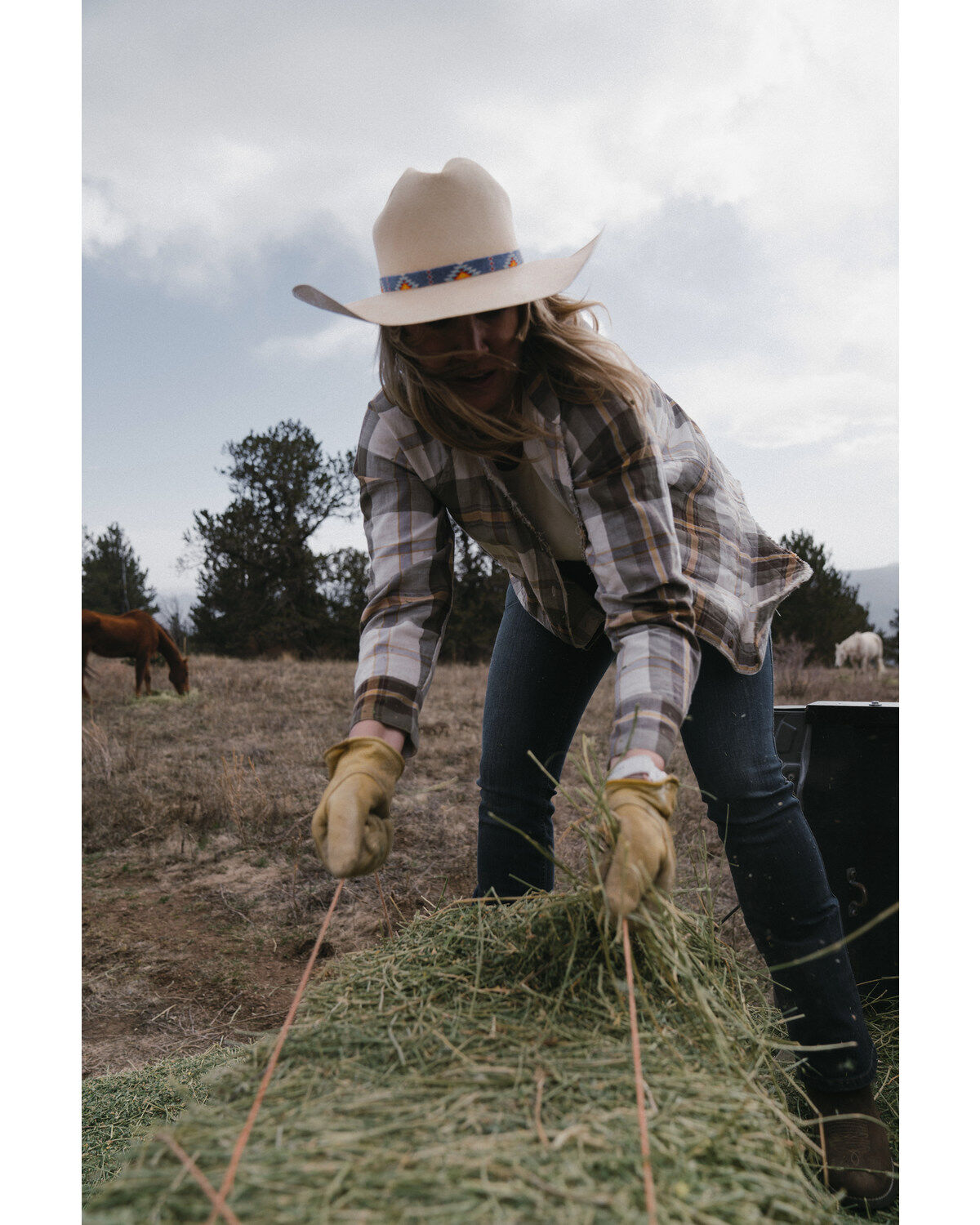 Women's Cleo + Wolf Raw Edge Raglan Sleeve Button Up Shirt
