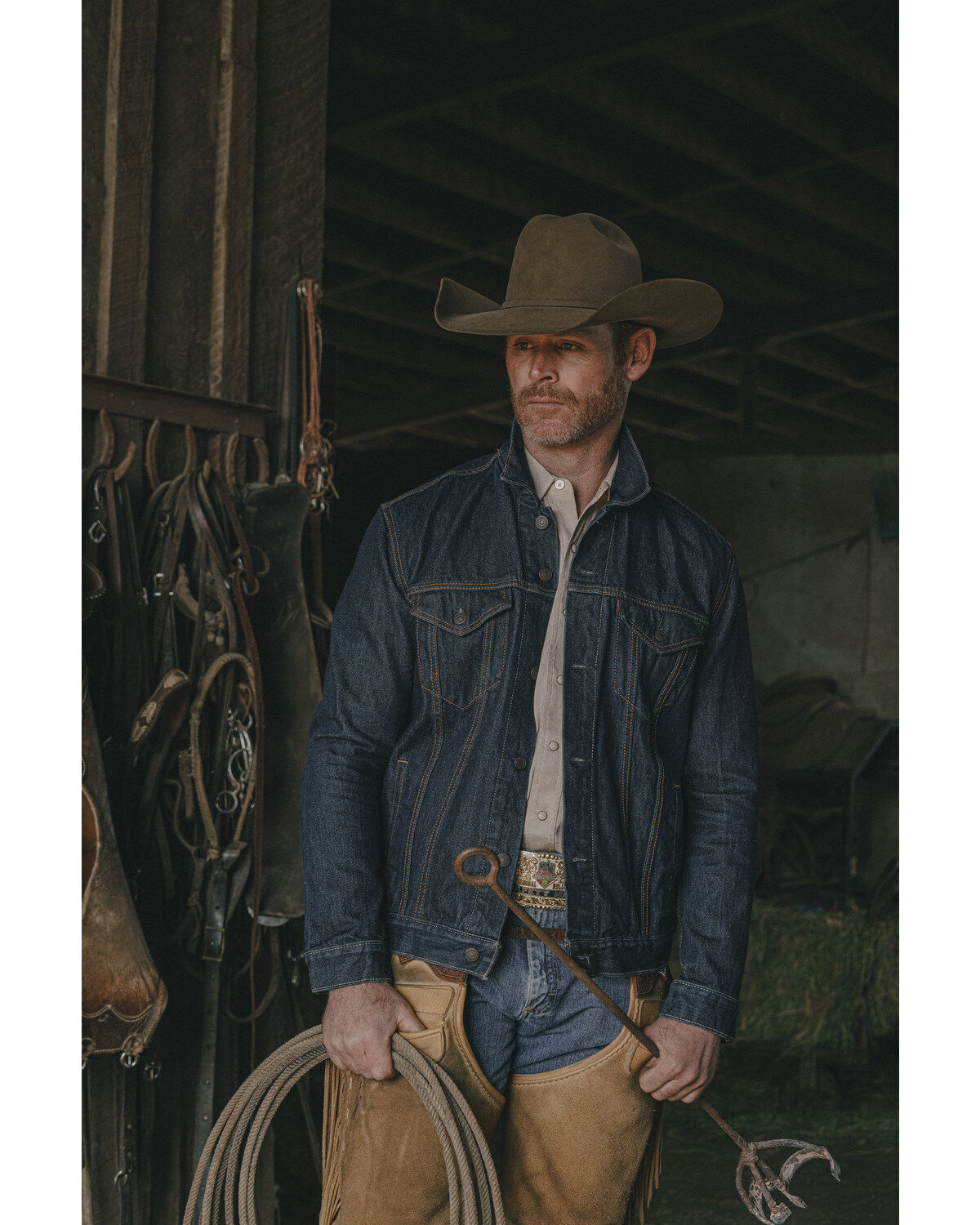 Men's Levi's Trucker Jacket