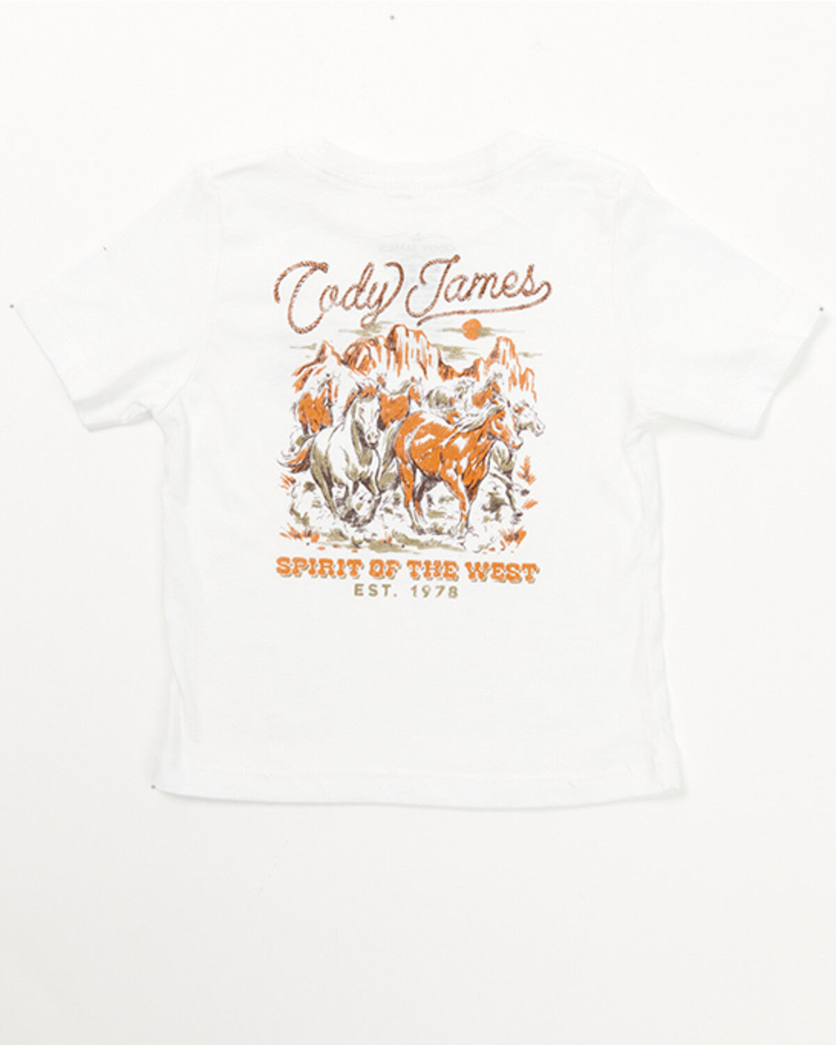 Boys' Cody James Toddler Western Spirit Short Sleeve Graphic T-Shirt