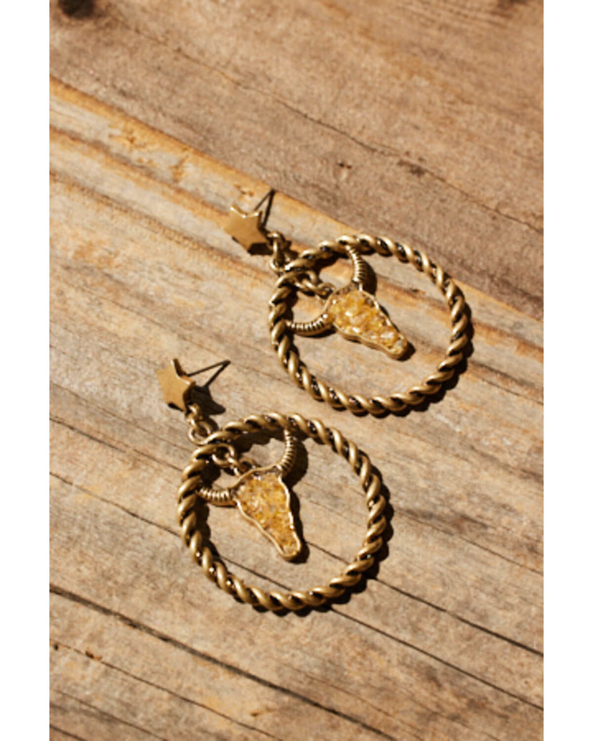 Image #1 - Shyanne Women's Steerhead Star Hoop Earrings, Silver, hi-res