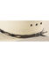Image #2 - Bullhide Alamo 50X Straw Cowboy Hat, , hi-res