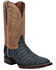 Image #1 - Dan Post Women's Exotic Sueded Caiman Western Boots - Broad Square Toe, Blue, hi-res