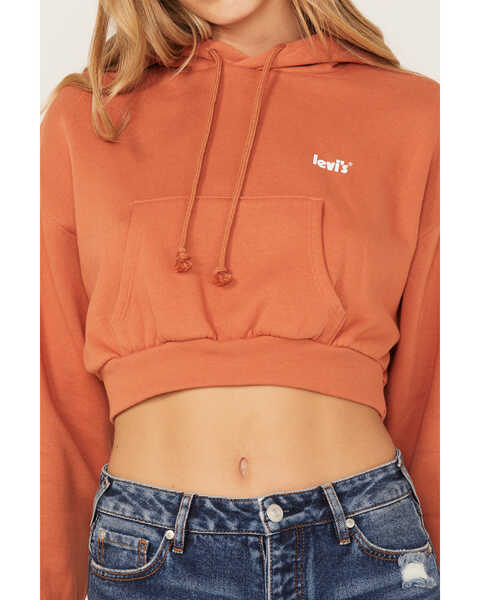 Levi's Women's Laundry Day Cropped Hoodie, Brown, hi-res