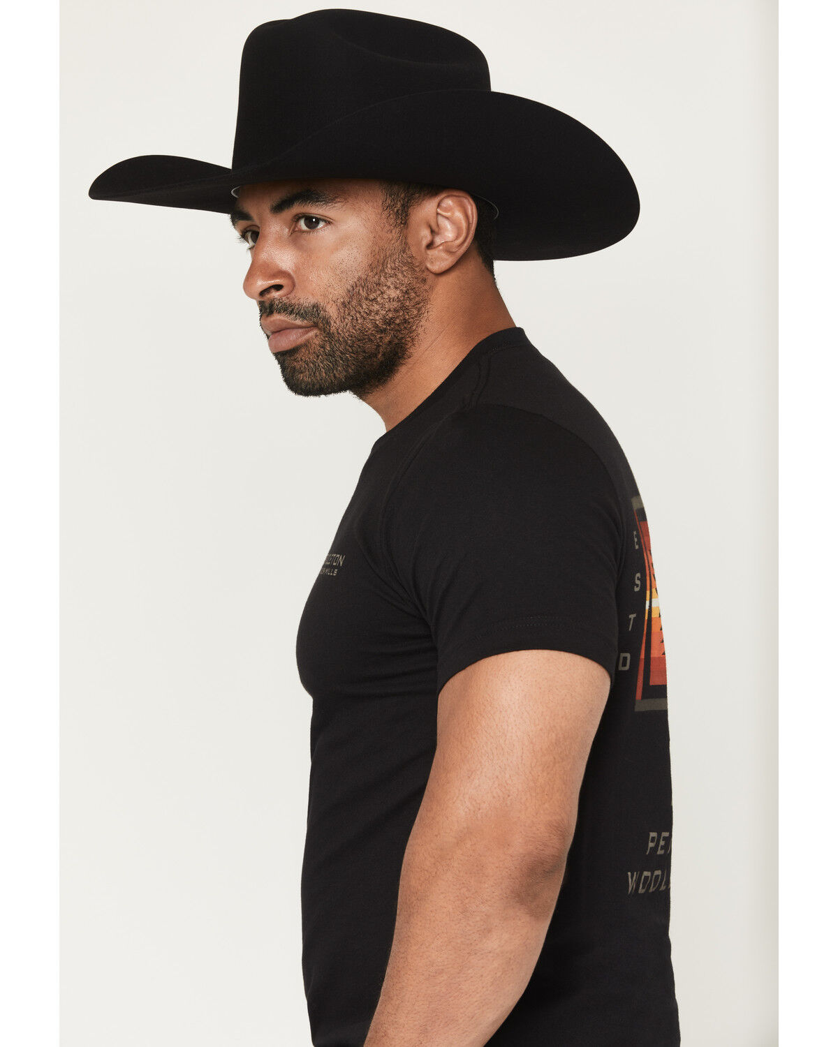 Image #3 - Pendleton Men's Harding Ombre Short Sleeve Graphic T-Shirt, Black, hi-res