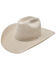 Image #1 - Resistol Five Star Felt Cowboy Hat, Silver Belly, hi-res