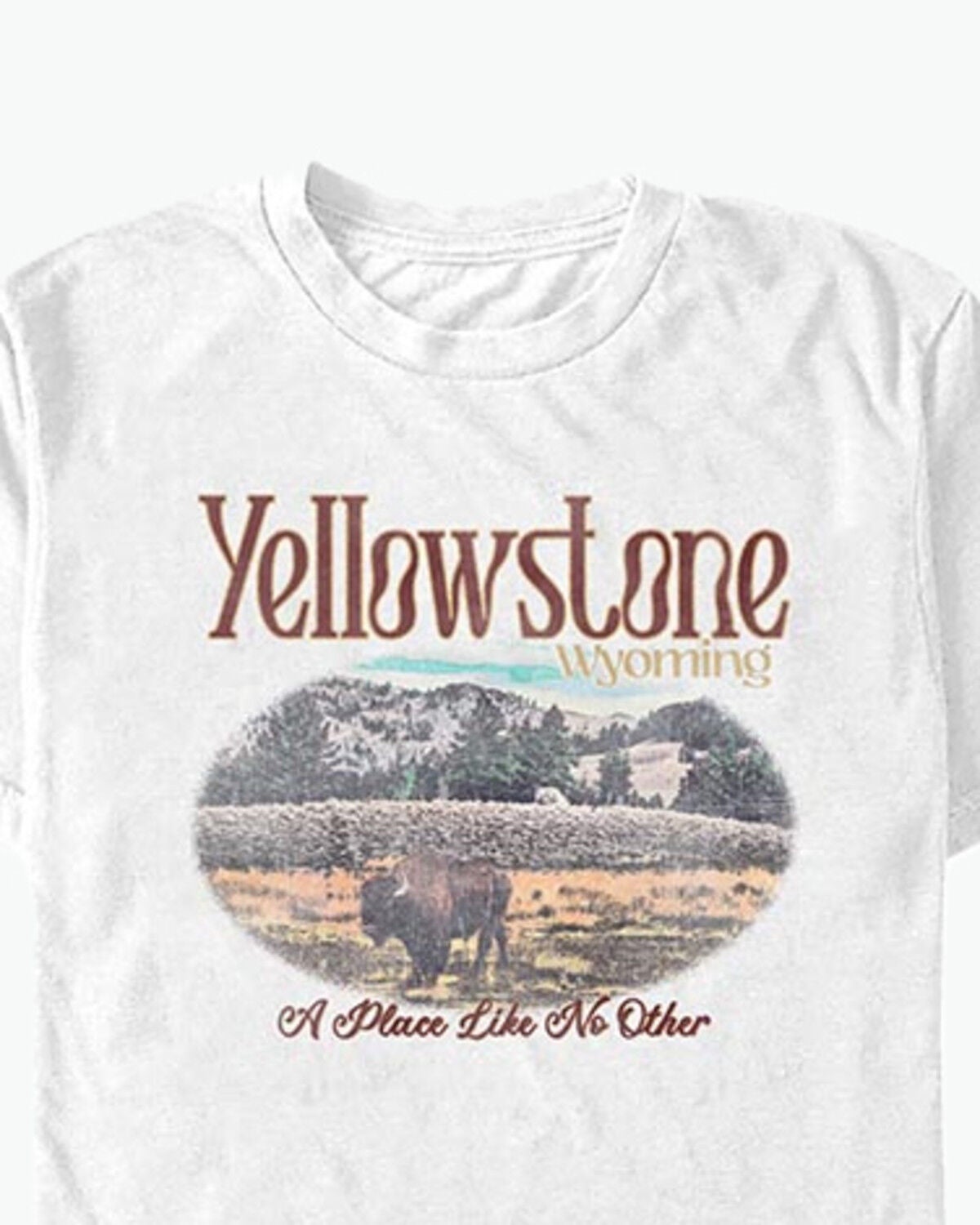 Image #1 - Americana Men's Yellowstone Vintage Short Sleeve Graphic T-Shirt, White, hi-res