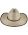 Image #3 - Cody James® Men's Brown Trimmed Straw Hat, Natural, hi-res