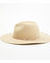 Peter Grimm Women's Amor Mio Tan Heart Crown Wool Felt Western Hat , Tan, hi-res