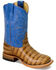 Image #1 - HorsePower Boys' Royal Sinsation Western Boots - Broad Square Toe, Tan, hi-res