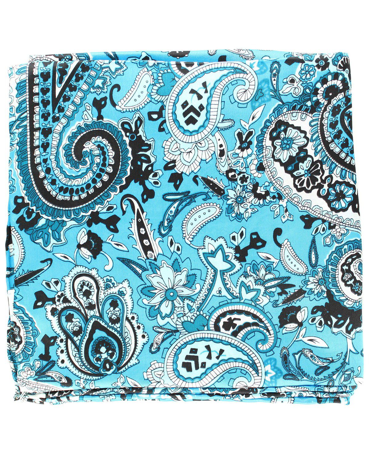 Image #1 - Paisley Silk Wild Rag, , hi-res