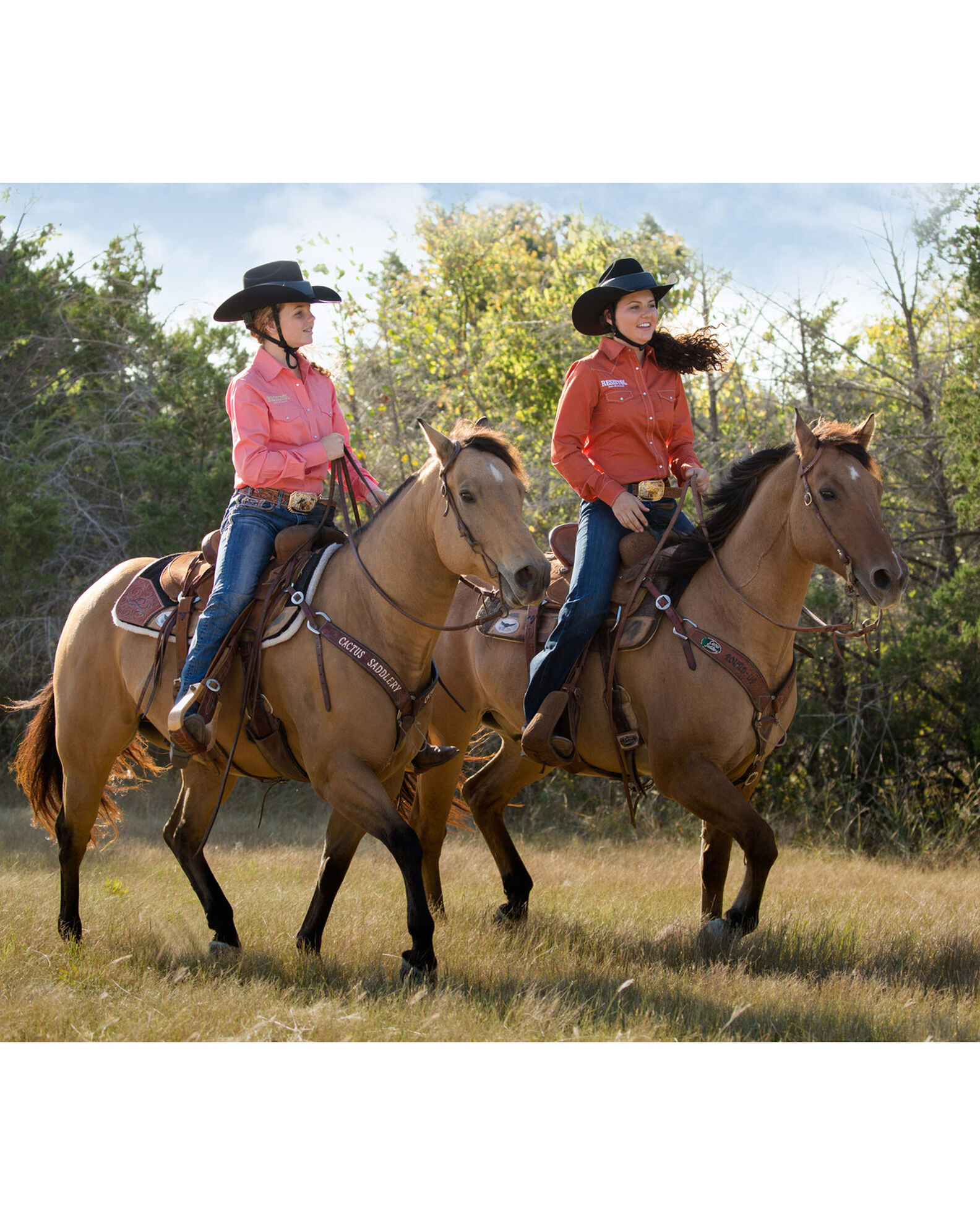 Resistol cowboy hat helmet cheap