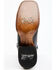 Dan Post Women's Back Cut Python Exotic Western Boot - Broad Square Toe, Black, hi-res
