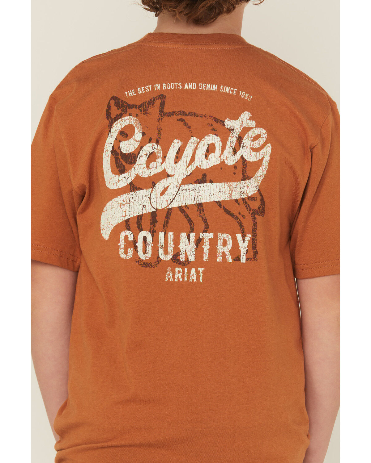 Image #4 - Ariat Boys' Coyote Short Sleeve Graphic T-Shirt, Brown, hi-res