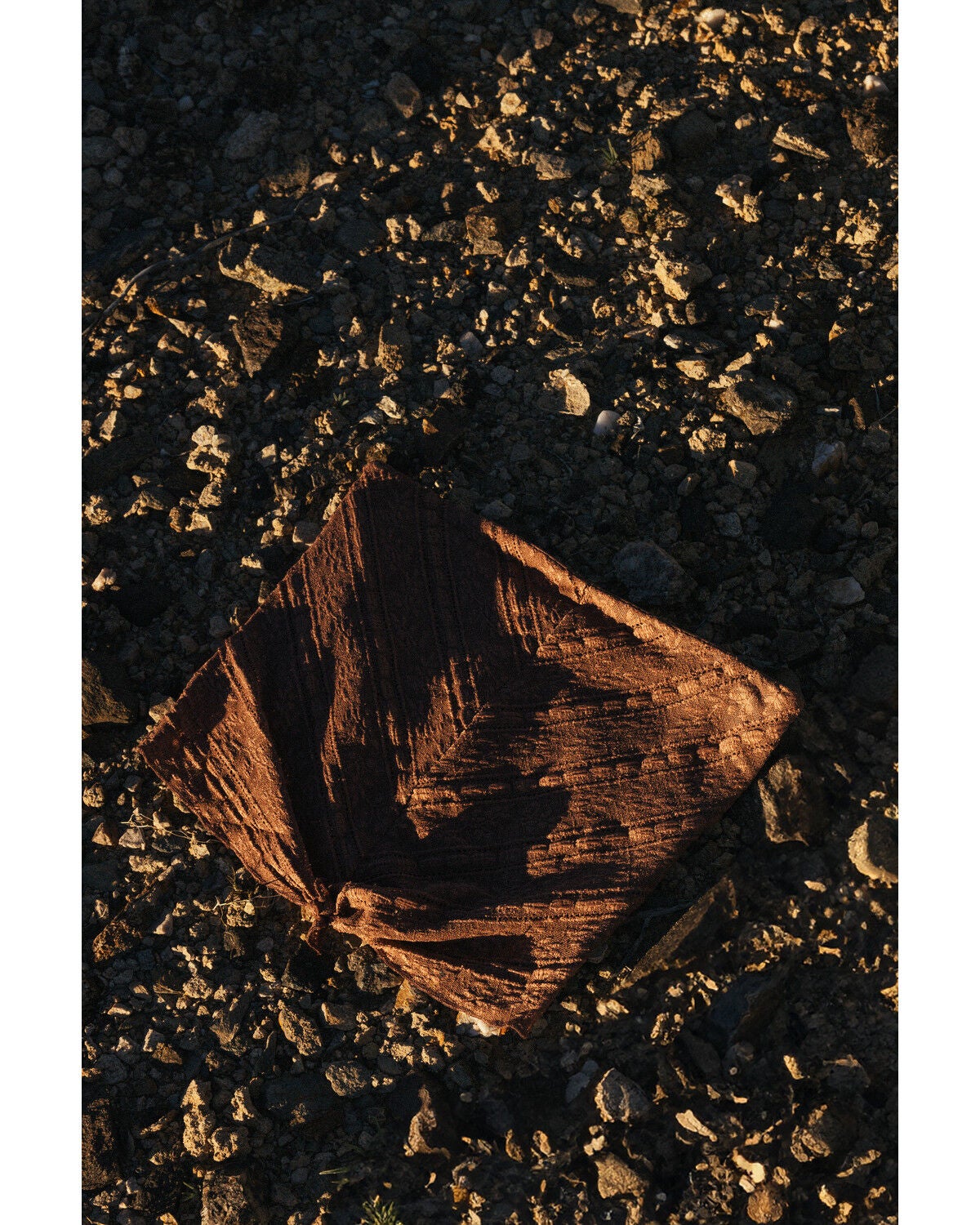 Cleo + Wolf Women's Solid Tie-Front Strapless Shirt, Brown, hi-res