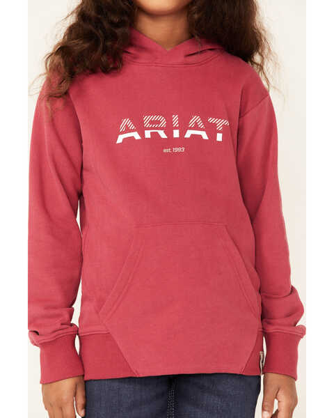 Ariat Girls' 3D Logo Graphic Terry Hoodie , Pink, hi-res