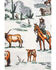 Image #5 - HiEnd Accents 3pc Ranch Life Reversible Duvet Cover Bedding Set - Super King, Multi, hi-res