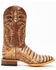 Cody James Men's Caiman Belly Western Boots - Broad Square Toe, Brown, hi-res