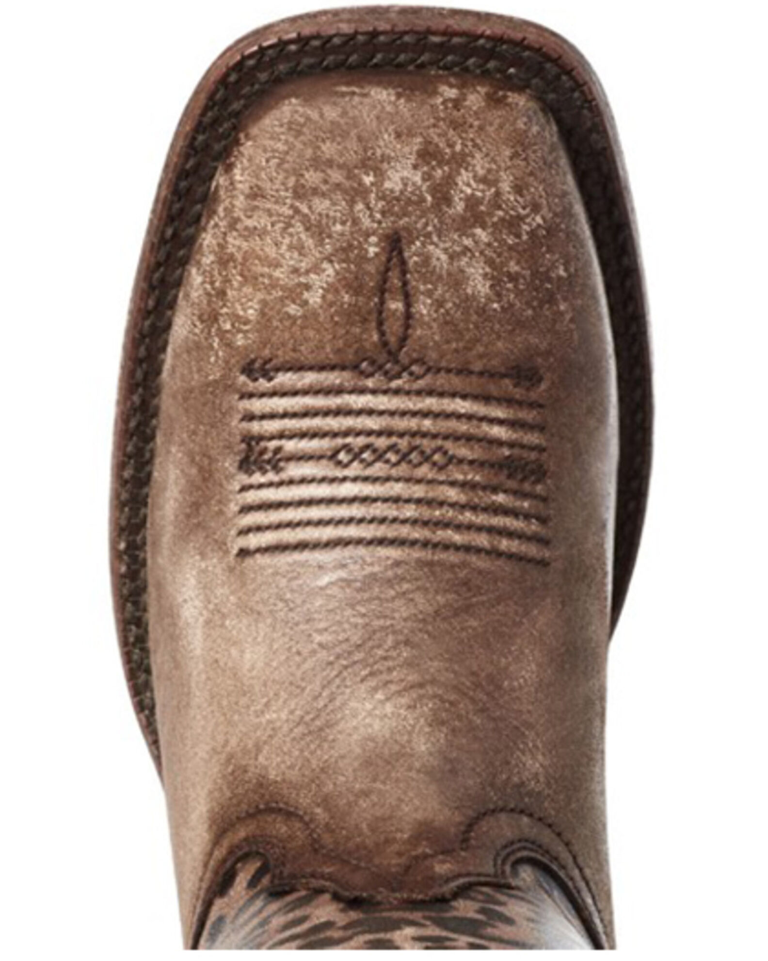 Ariat circuit savanna new arrivals