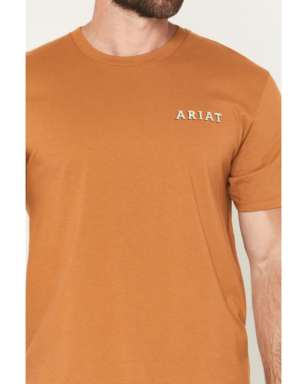 Ariat Men's Scorpion Seal Short Sleeve Graphic T-Shirt