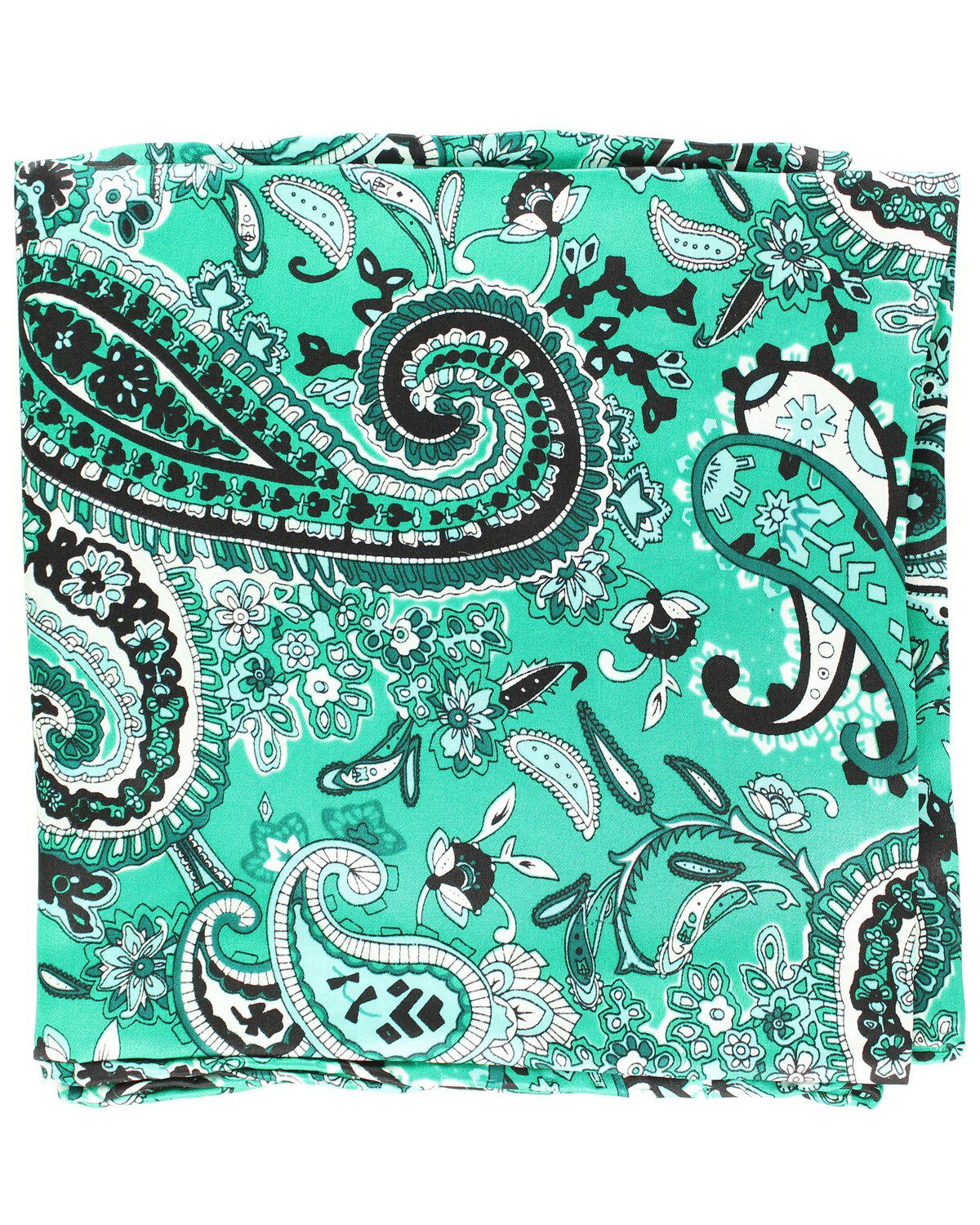 Image #1 - Paisley Silk Wild Rag, , hi-res