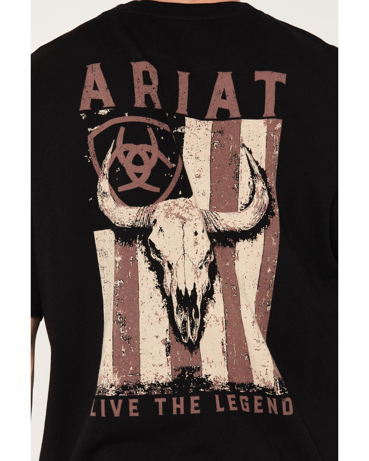 Image #3 - Ariat Men's Bison Legend Short Sleeve Boxy Graphic T-Shirt, Black, hi-res