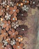 Image #2 - Corral Women's Tobacco Floral Overlay Embroidered Stud and Crystals Cowgirl Boots - Snip Toe, , hi-res