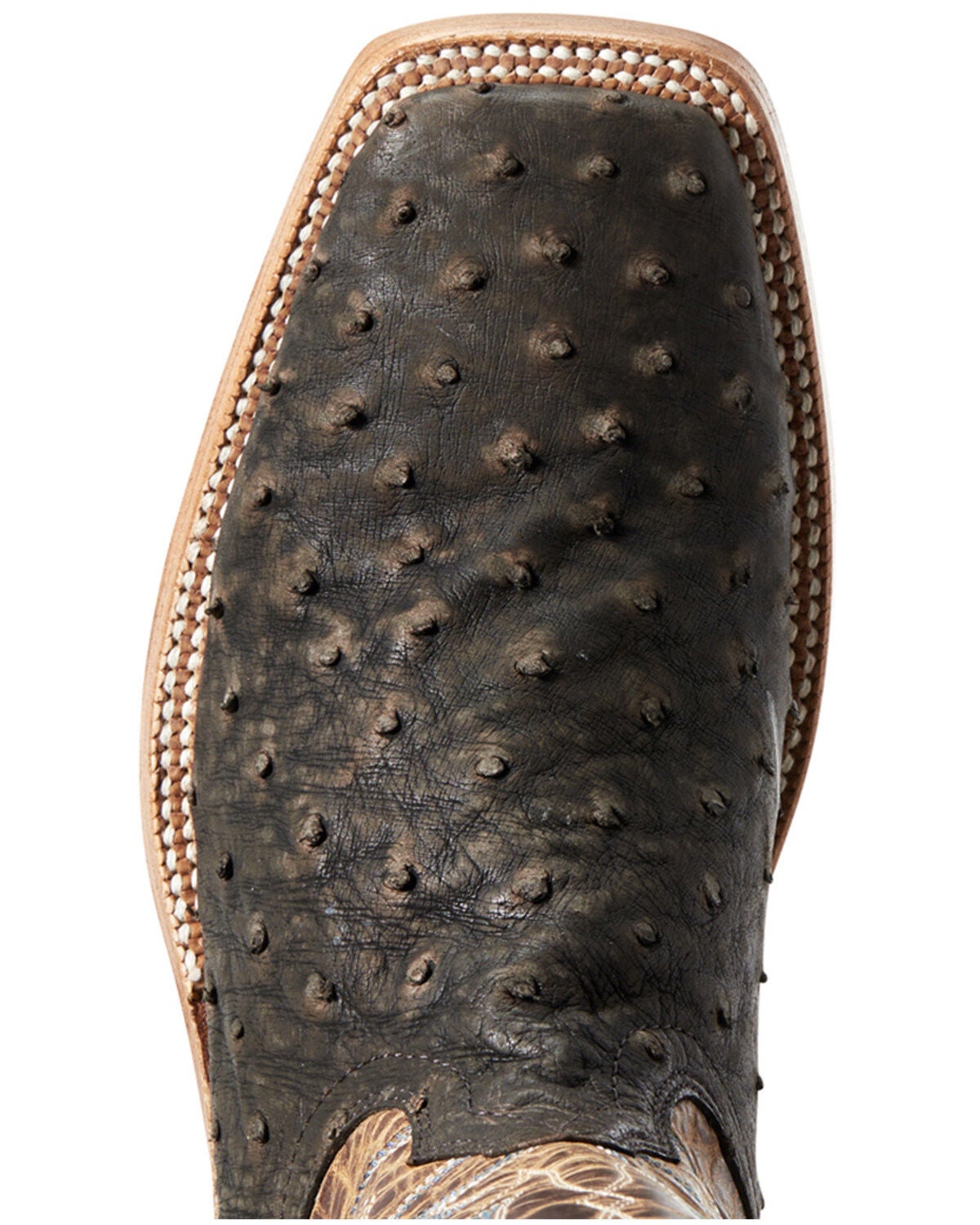 ostrich boots ariat