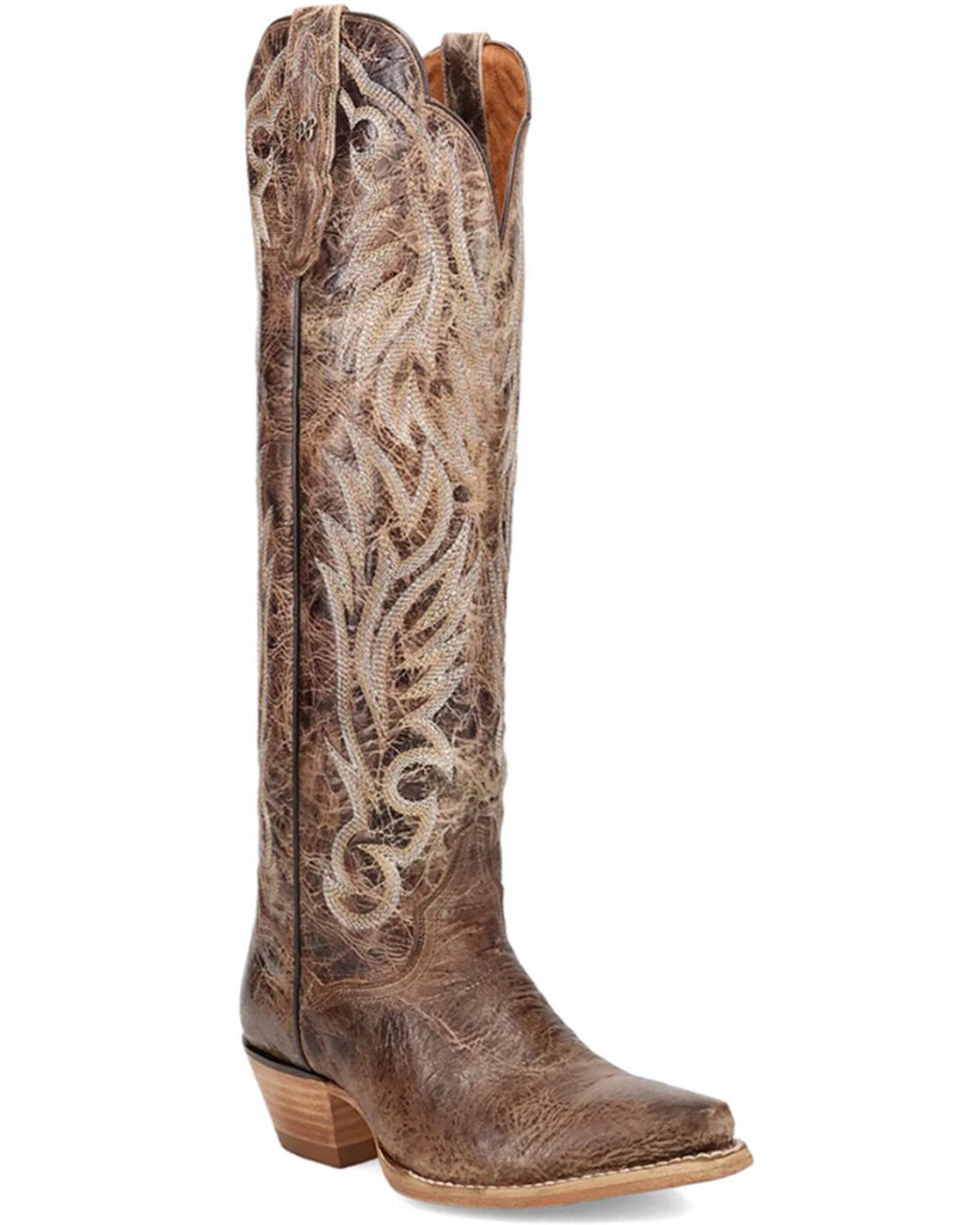Dan Post Women's Rustic Ridge Tall Western Boots - Snip Toe, Brown, hi-res